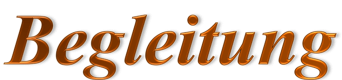 Begleitung