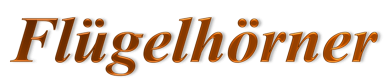 Überschrift-seite